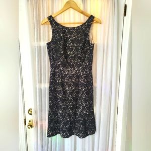 Black Lace WHBM mini dress